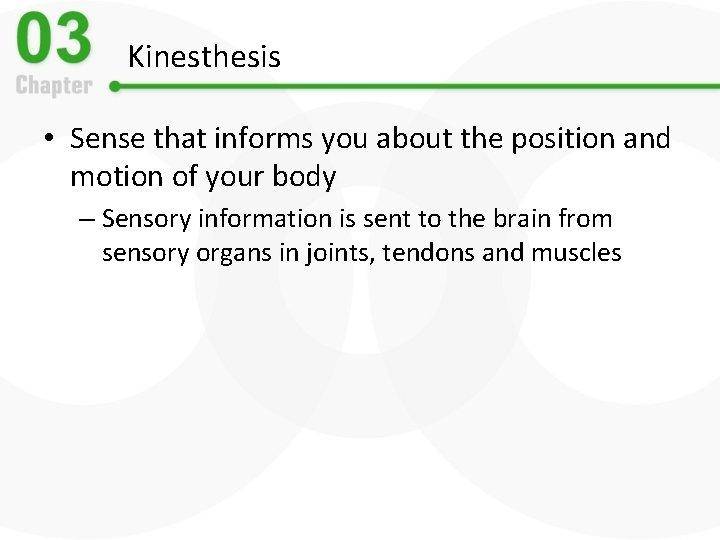 Kinesthesis • Sense that informs you about the position and motion of your body