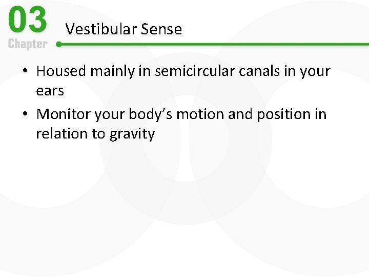 Vestibular Sense • Housed mainly in semicircular canals in your ears • Monitor your