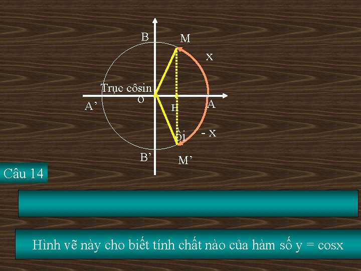 B M x Trục côsin A’ o H ồi B’ Câu 14 A -x