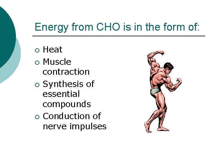 Energy from CHO is in the form of: ¡ ¡ Heat Muscle contraction Synthesis