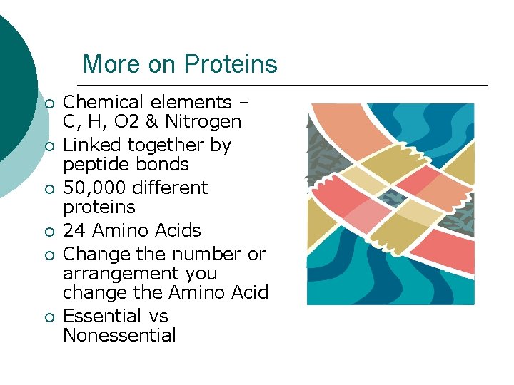 More on Proteins ¡ ¡ ¡ Chemical elements – C, H, O 2 &