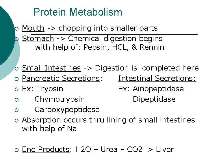 Protein Metabolism ¡ ¡ ¡ ¡ ¡ Mouth -> chopping into smaller parts Stomach