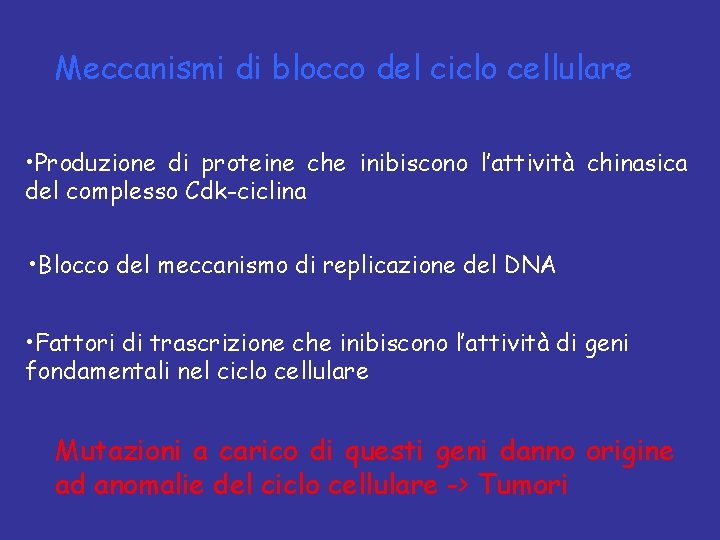 Meccanismi di blocco del ciclo cellulare • Produzione di proteine che inibiscono l’attività chinasica