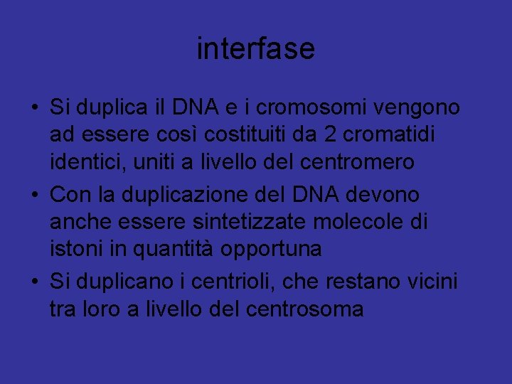 interfase • Si duplica il DNA e i cromosomi vengono ad essere così costituiti