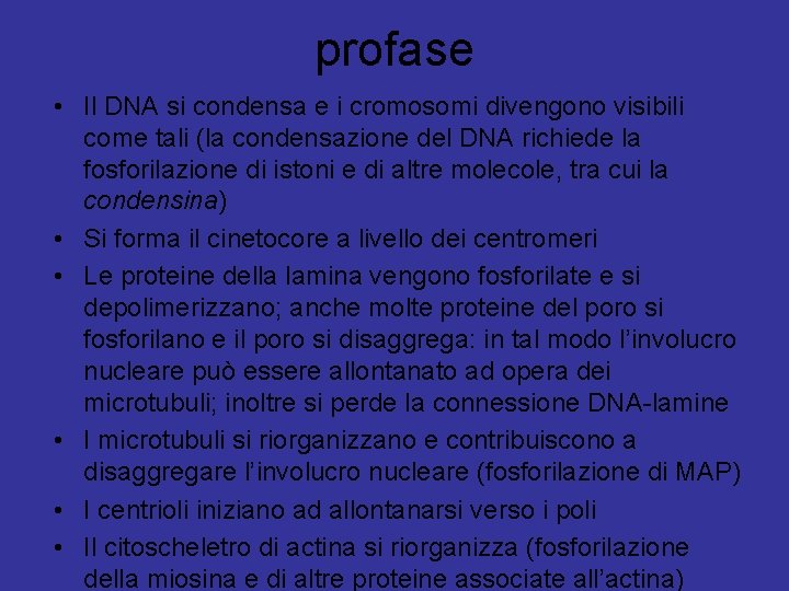 profase • Il DNA si condensa e i cromosomi divengono visibili come tali (la