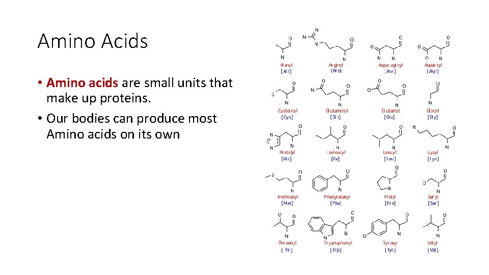 Amino Acids • Amino acids are small units that make up proteins. • Our