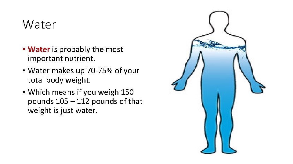 Water • Water is probably the most important nutrient. • Water makes up 70