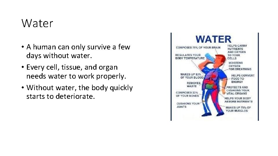 Water • A human can only survive a few days without water. • Every