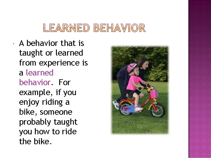  A behavior that is taught or learned from experience is a learned behavior.