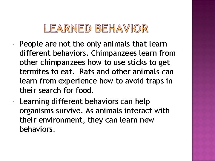  People are not the only animals that learn different behaviors. Chimpanzees learn from