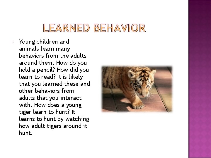  Young children and animals learn many behaviors from the adults around them. How