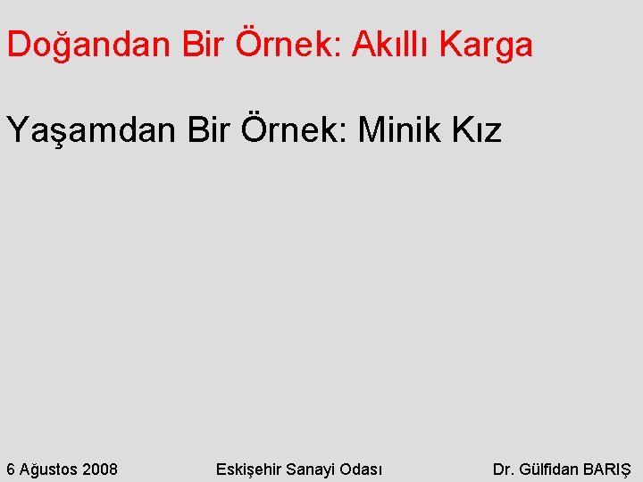 Doğandan Bir Örnek: Akıllı Karga Yaşamdan Bir Örnek: Minik Kız 6 Ağustos 2008 Eskişehir