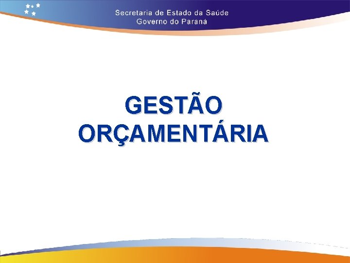 GESTÃO ORÇAMENTÁRIA 