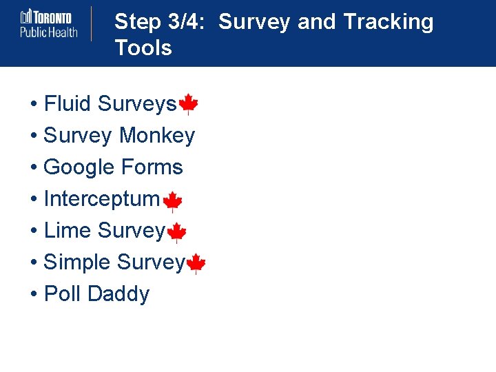 Step 3/4: Survey and Tracking Tools • Fluid Surveys • Survey Monkey • Google