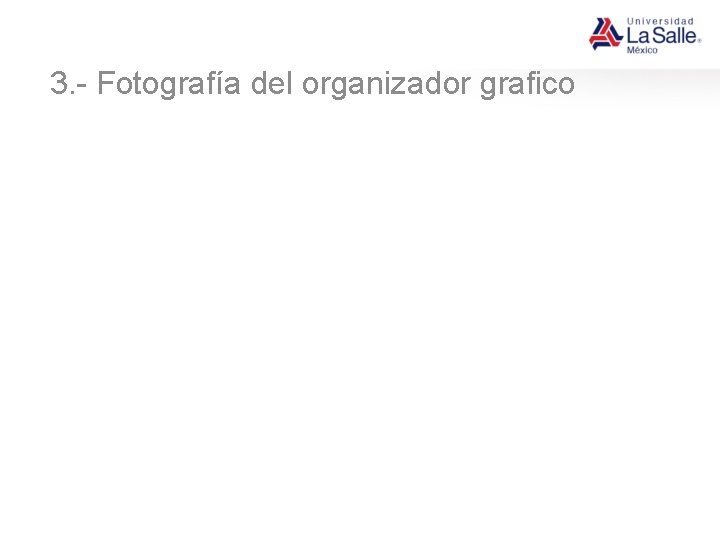 3. - Fotografía del organizador grafico 