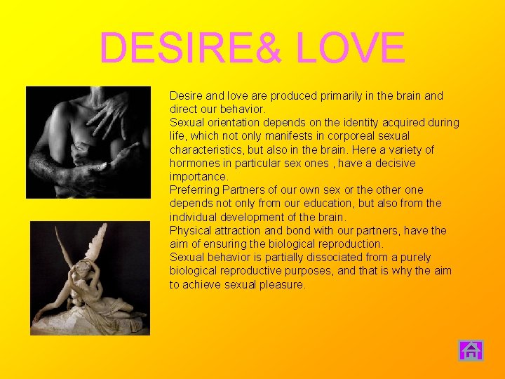 DESIRE& LOVE Desire and love are produced primarily in the brain and direct our