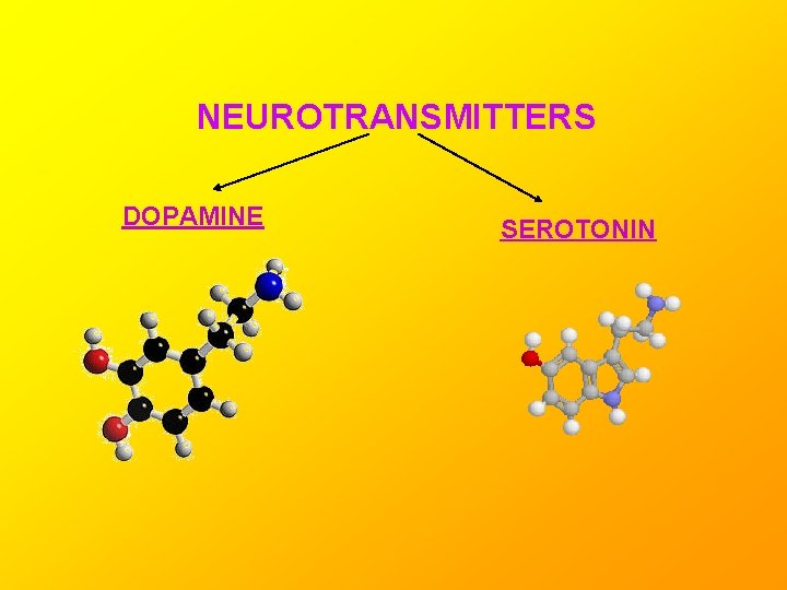 NEUROTRANSMITTERS DOPAMINE SEROTONIN 