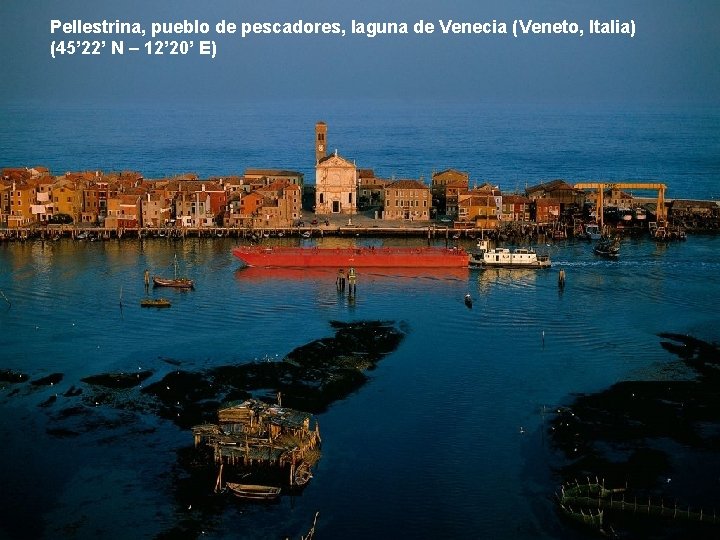 Pellestrina, pueblo de pescadores, laguna de Venecia (Veneto, Italia) (45’ 22’ N – 12’