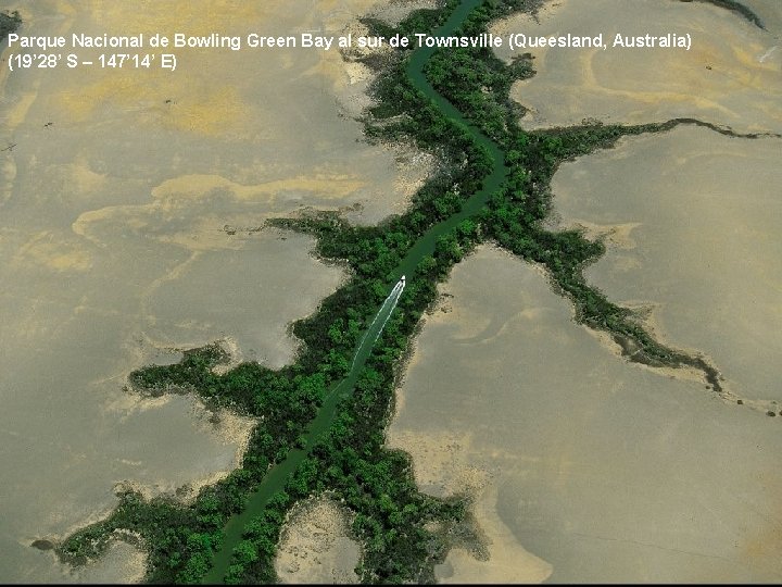 Parque Nacional de Bowling Green Bay al sur de Townsville (Queesland, Australia) (19’ 28’