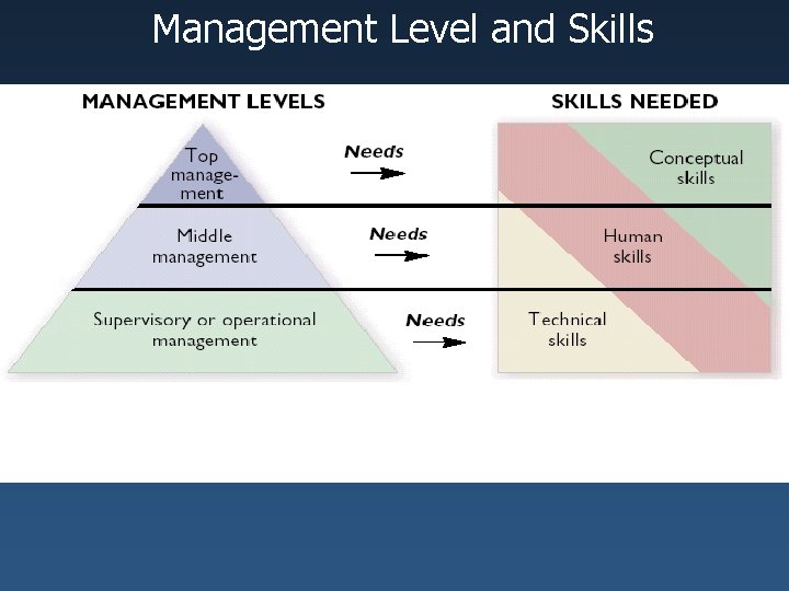 Management Level and Skills 