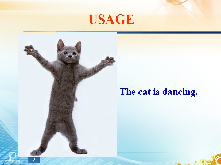 USAGE The cat is dancing. 3 USAGE The cat is dancing. 3