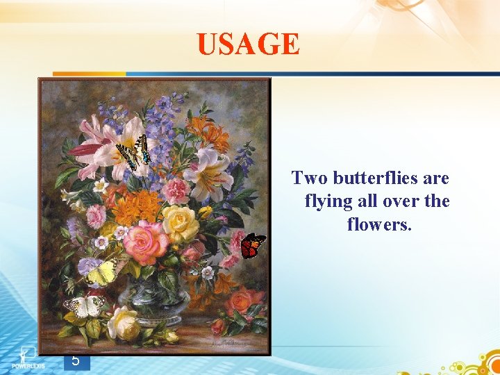 USAGE Two butterflies are flying all over the flowers. 5 USAGE Two butterflies are flying all over the flowers. 5