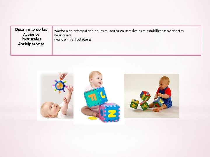 Desarrollo de las Acciones Posturales Anticipatorias -Activacion anticipatoria de los musculos voluntarios para estabilizar