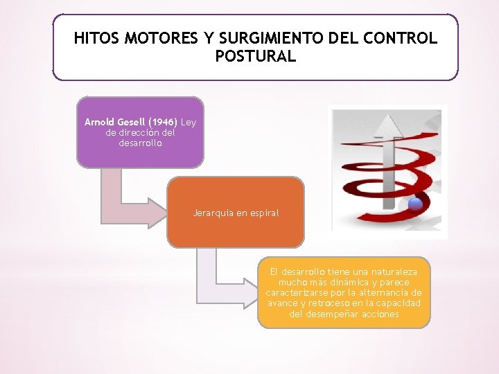 HITOS MOTORES Y SURGIMIENTO DEL CONTROL POSTURAL Arnold Gesell (1946) Ley de dirección del