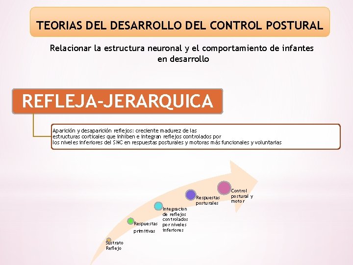 TEORIAS DEL DESARROLLO DEL CONTROL POSTURAL Relacionar la estructura neuronal y el comportamiento de
