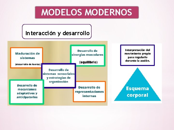 MODELOS MODERNOS Interacción y desarrollo 