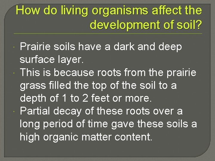 How do living organisms affect the development of soil? Prairie soils have a dark