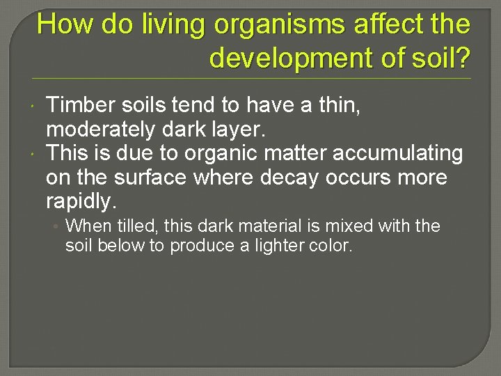 How do living organisms affect the development of soil? Timber soils tend to have