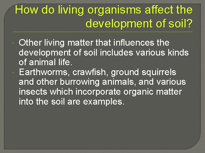 How do living organisms affect the development of soil? Other living matter that influences