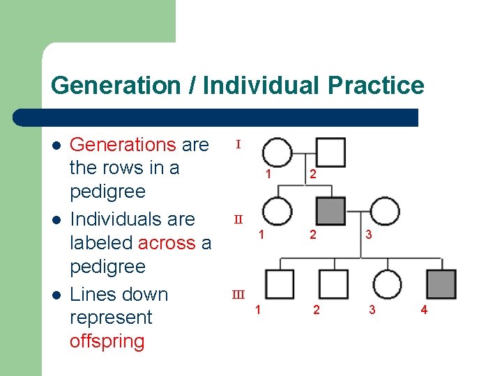 Generation / Individual Practice l l l Generations are the rows in a pedigree