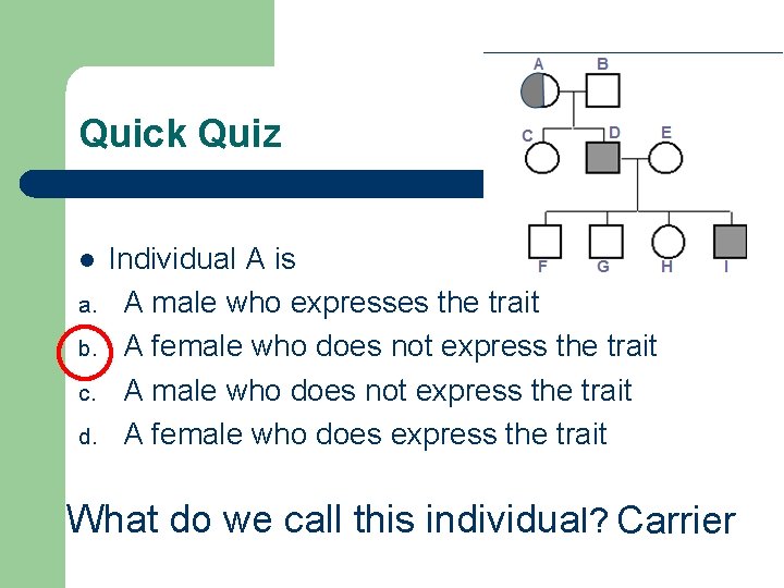 Quick Quiz l a. b. c. d. Individual A is A male who expresses