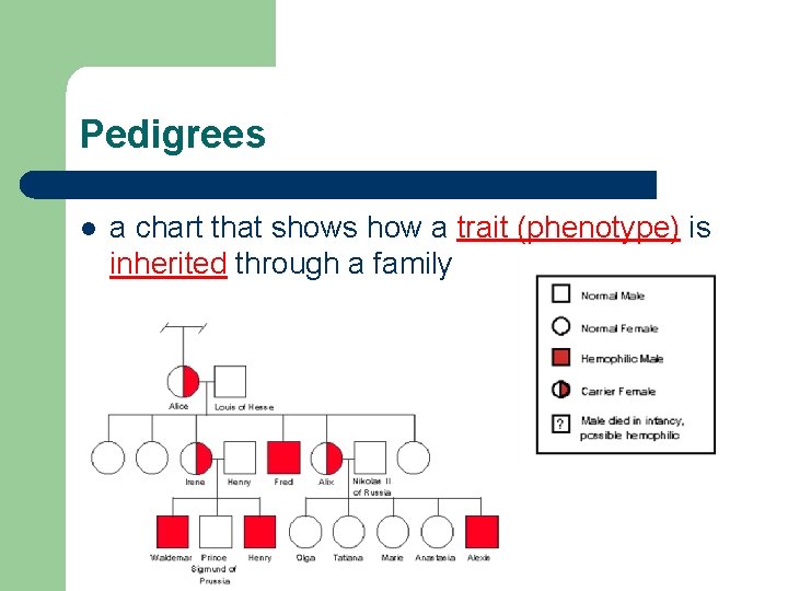 Pedigrees l a chart that shows how a trait (phenotype) is inherited through a