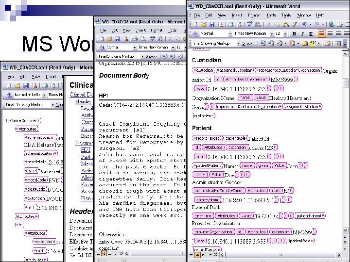 MS Word XML authoring MS Word XML authoring
