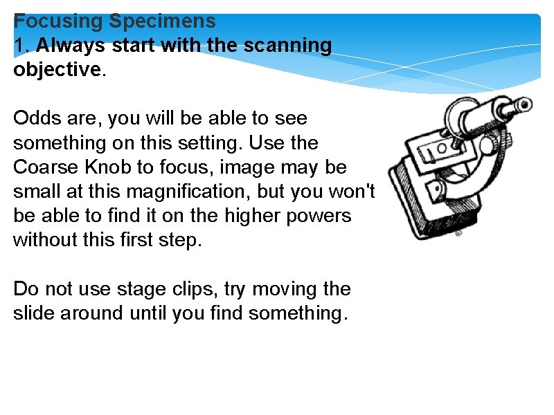 Focusing Specimens 1. Always start with the scanning objective. Odds are, you will be