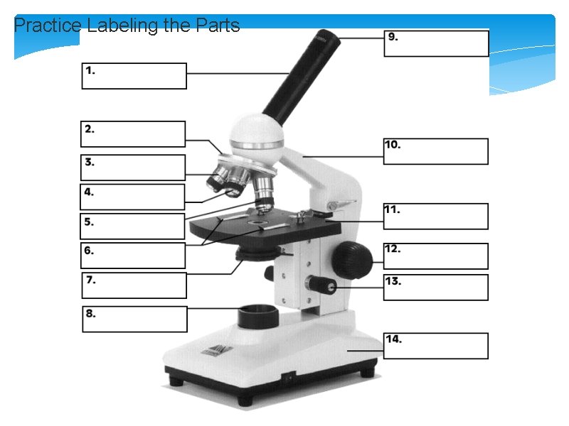 Practice Labeling the Parts 