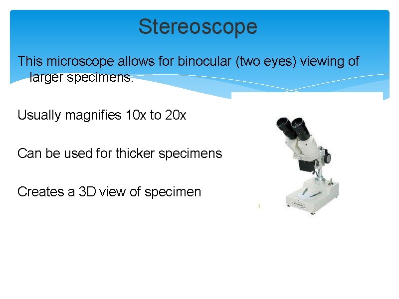 Stereoscope This microscope allows for binocular (two eyes) viewing of larger specimens. Usually magnifies