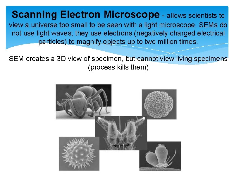 ラッピング不可】 WUYUESUN 5mmの厚さの円形の凹形キャビティ生体顕微鏡スライド光学ガラス複数のウェルがオプション Color : 3  wells www.arrisalah.net