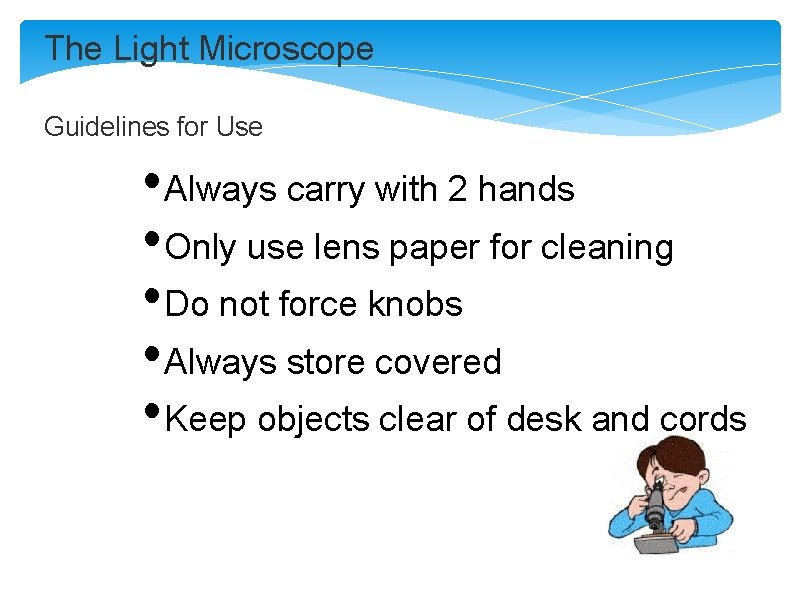 The Light Microscope Guidelines for Use • Always carry with 2 hands • Only