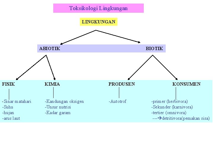 Toksikologi Lingkungan LINGKUNGAN ABIOTIK FISIK KIMIA PRODUSEN -Sinar matahari -Suhu -hujan -arus laut -Kandungan