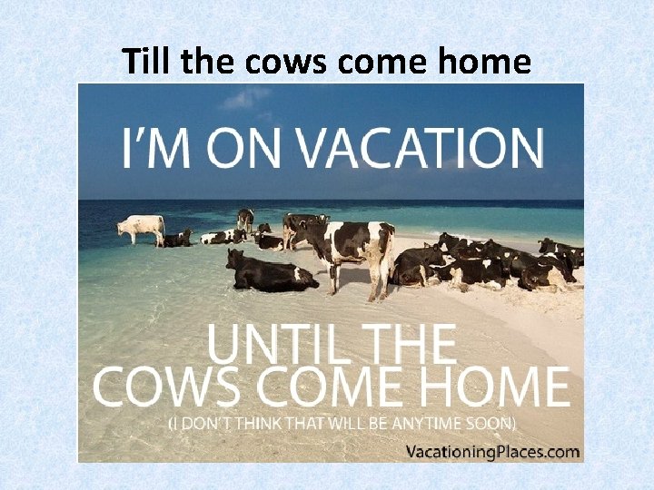 Till the cows come home 