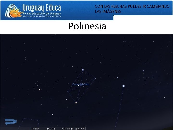 CON LAS FLECHAS PUEDES IR CAMBIANDO LAS IMÁGENES Polinesia 