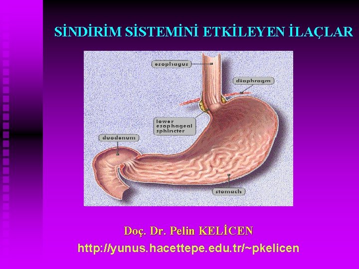 SİNDİRİM SİSTEMİNİ ETKİLEYEN İLAÇLAR Doç. Dr. Pelin KELİCEN http: //yunus. hacettepe. edu. tr/~pkelicen 