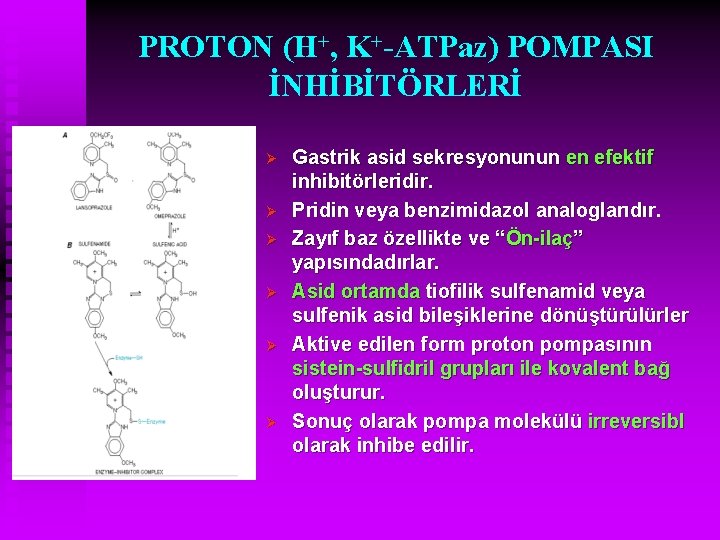 PROTON (H+, K+-ATPaz) POMPASI İNHİBİTÖRLERİ Ø Ø Ø Gastrik asid sekresyonunun en efektif inhibitörleridir.