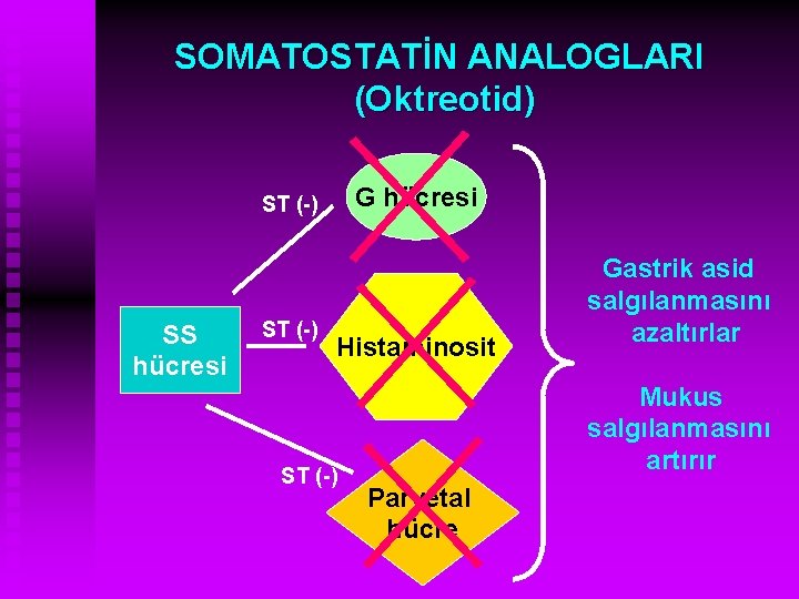 SOMATOSTATİN ANALOGLARI (Oktreotid) G hücresi ST (-) SS hücresi ST (-) Histaminosit ST (-)