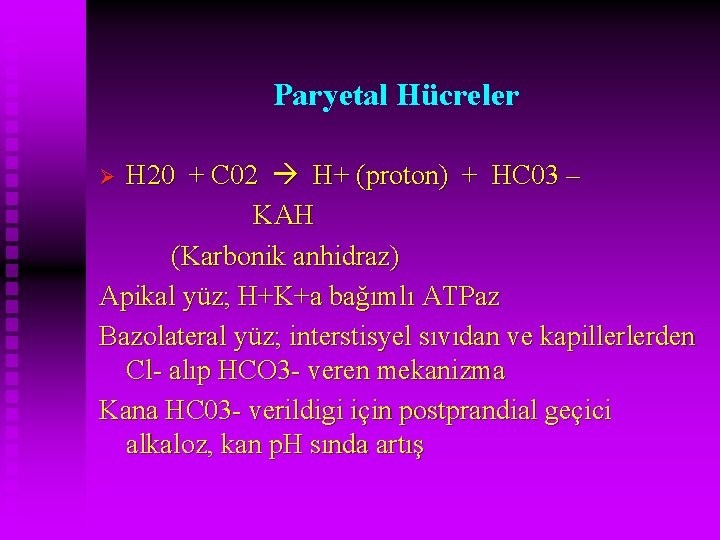 Paryetal Hücreler H 20 + C 02 H+ (proton) + HC 03 – KAH