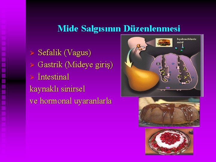 Mide Salgısının Düzenlenmesi Sefalik (Vagus) Ø Gastrik (Mideye giriş) Ø İntestinal kaynaklı sinirsel ve